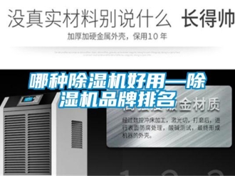 企業(yè)新聞哪種除濕機好用—除濕機品牌排名