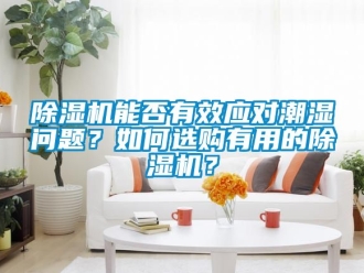 行業新聞除濕機能否有效應對潮濕問題？如何選購有用的除濕機？