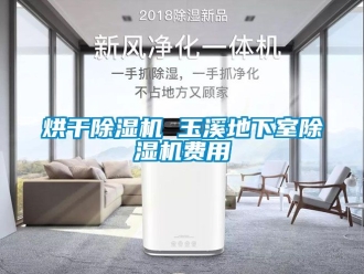 行業(yè)新聞烘干除濕機(jī) 玉溪地下室除濕機(jī)費(fèi)用