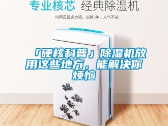 企業新聞「硬核科普」除濕機放用這些地方，能解決你煩惱