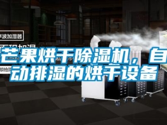 行業新聞芒果烘干除濕機，自動排濕的烘干設備