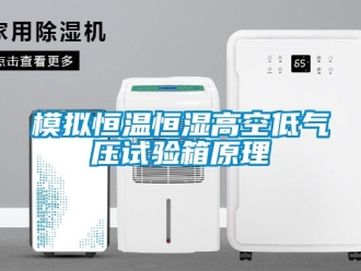 知識百科模擬恒溫恒濕高空低氣壓試驗箱原理