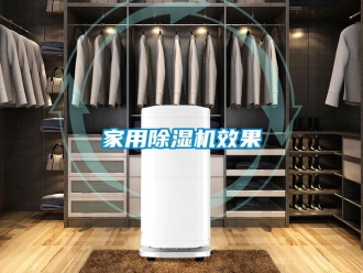 行業新聞家用除濕機效果