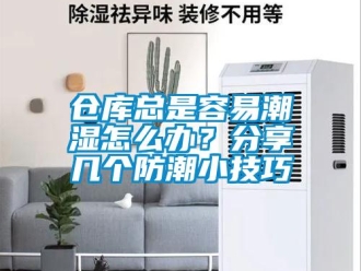 企業(yè)新聞倉(cāng)庫(kù)總是容易潮濕怎么辦？分享幾個(gè)防潮小技巧