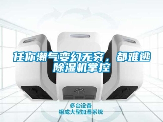行業(yè)新聞任你潮氣變幻無窮，都難逃除濕機(jī)掌控
