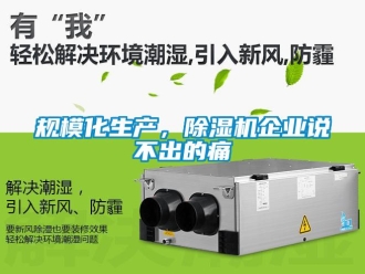 行業(yè)新聞規(guī)模化生產(chǎn)，除濕機企業(yè)說不出的痛
