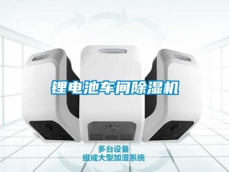 行業新聞鋰電池車間除濕機