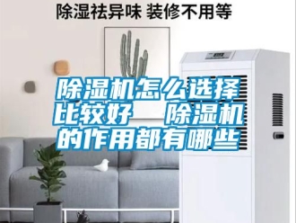 行業(yè)新聞除濕機(jī)怎么選擇比較好  除濕機(jī)的作用都有哪些