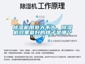 行業(yè)新聞除濕機(jī)用處大不大，除濕機(jī)效果最好的牌子是哪個？