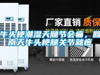 行業(yè)新聞牛頭梗潮濕天腿節(jié)會(huì)痛，回南天牛頭梗腿關(guān)節(jié)就疼