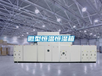 知識百科微型恒溫恒濕箱