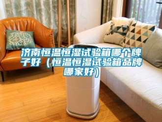 知識百科濟南恒溫恒濕試驗箱哪個牌子好（恒溫恒濕試驗箱品牌哪家好）