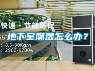企業(yè)新聞地下室潮濕怎么辦？