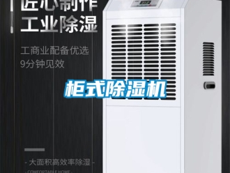 行業新聞柜式除濕機