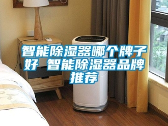 行業新聞智能除濕器哪個牌子好 智能除濕器品牌推薦