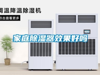 行業(yè)新聞家庭除濕器效果好嗎