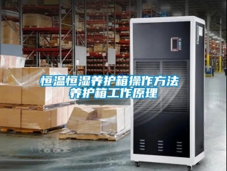 知識百科恒溫恒濕養護箱操作方法 養護箱工作原理