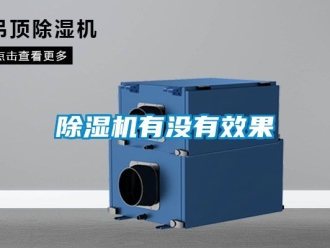 行業(yè)新聞除濕機有沒有效果