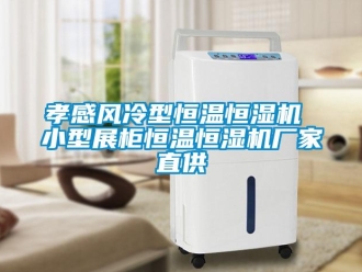知識(shí)百科孝感風(fēng)冷型恒溫恒濕機(jī) 小型展柜恒溫恒濕機(jī)廠家直供