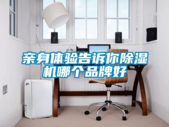 企業新聞親身體驗告訴你除濕機哪個品牌好