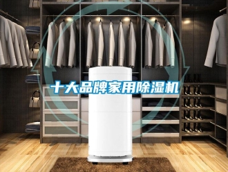 企業新聞十大品牌家用除濕機