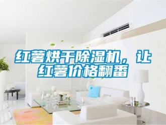 行業新聞紅薯烘干除濕機，讓紅薯價格翻番