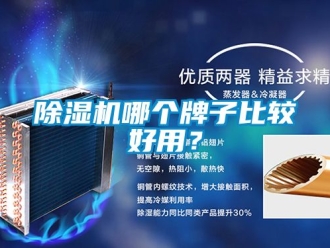 行業(yè)新聞除濕機哪個牌子比較好用？