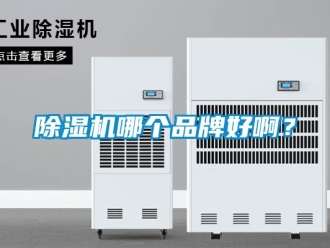 常見問題除濕機哪個品牌好??？