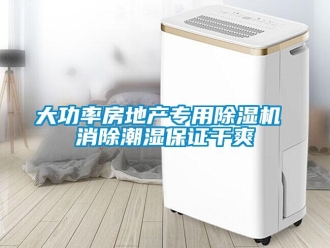 行業(yè)新聞大功率房地產(chǎn)專(zhuān)用除濕機(jī) 消除潮濕保證干爽