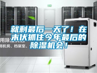 行業新聞就剩最后一天了！在末伏抓住今年最后的除濕機會！