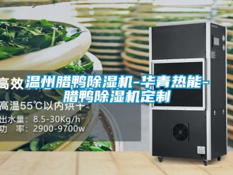 行業新聞溫州臘鴨除濕機-華青熱能-臘鴨除濕機定制