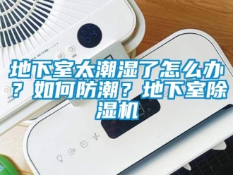 行業(yè)新聞地下室太潮濕了怎么辦？如何防潮？地下室除濕機(jī)