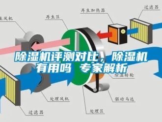 行業新聞除濕機評測對比，除濕機有用嗎 專家解析
