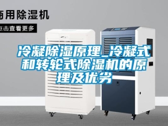 常見問題冷凝除濕原理_冷凝式和轉輪式除濕機的原理及優劣