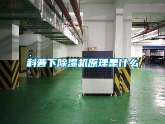行業新聞科普下除濕機原理是什么