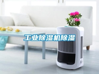 常見問題工業(yè)除濕機除濕