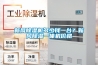 新風除濕機多少錢一臺？新風除濕一體機價格