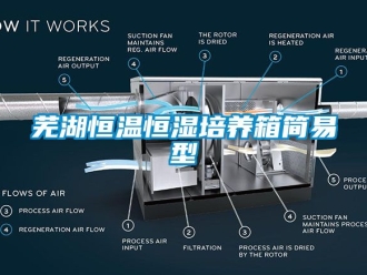 知識百科蕪湖恒溫恒濕培養箱簡易型