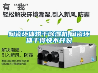 知識百科陶瓷坯體烘干除濕機(jī),陶瓷坯體干得快不開裂