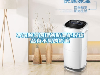 企業(yè)新聞不同除濕原理的防潮柜對(duì)物品有不同的影響