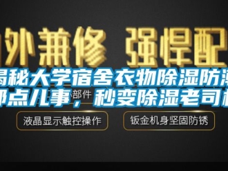 常見問題揭秘大學宿舍衣物除濕防潮那點兒事，秒變除濕老司機