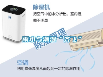 知識百科雨水與潮濕“齊飛”