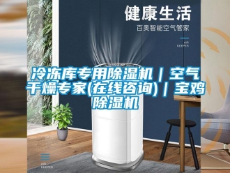 行業(yè)新聞冷凍庫專用除濕機｜空氣干燥專家(在線咨詢)｜寶雞除濕機