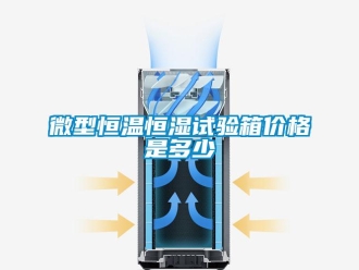 知識百科微型恒溫恒濕試驗箱價格是多少