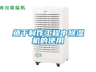 知識(shí)百科魚干制作工程中除濕機(jī)的使用