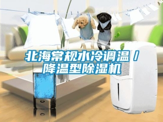 企業(yè)新聞北海常規(guī)水冷調(diào)溫／降溫型除濕機