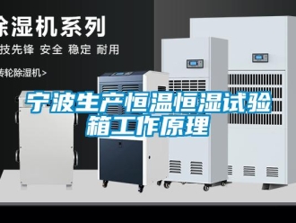 知識百科寧波生產恒溫恒濕試驗箱工作原理