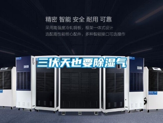 行業(yè)新聞三伏天也要除濕氣