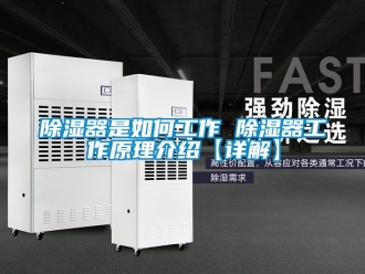 行業(yè)新聞除濕器是如何工作 除濕器工作原理介紹【詳解】