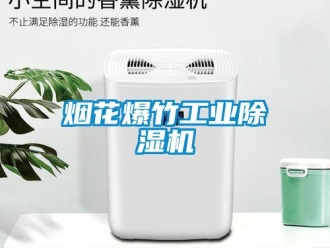 知識百科煙花爆竹工業除濕機